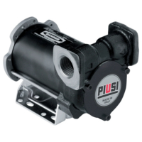 Pump BP3000 24V Inline - 3/4 BSP